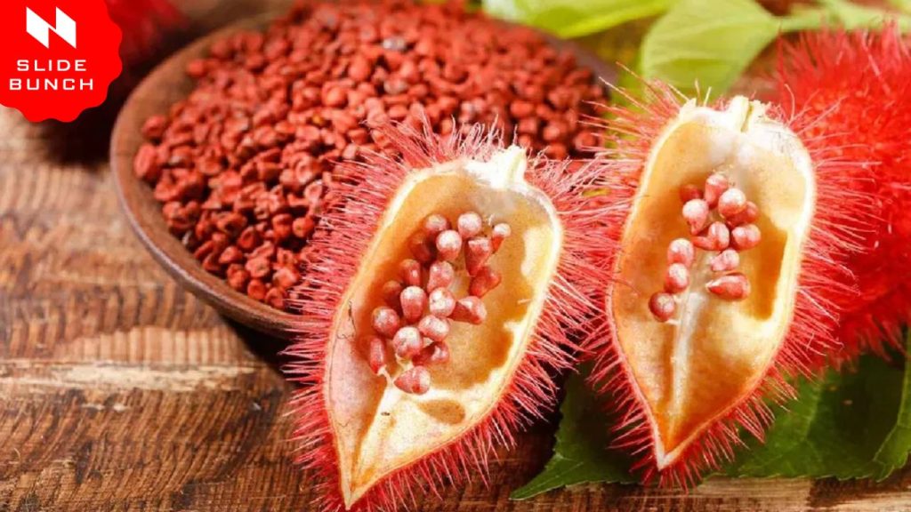 Annatto Seeds