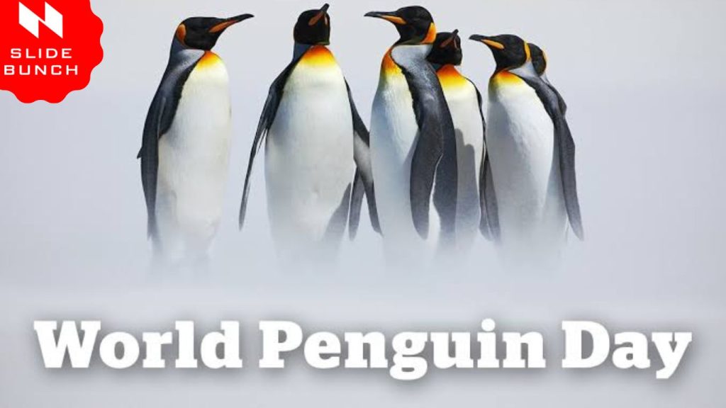 World Penguin Day