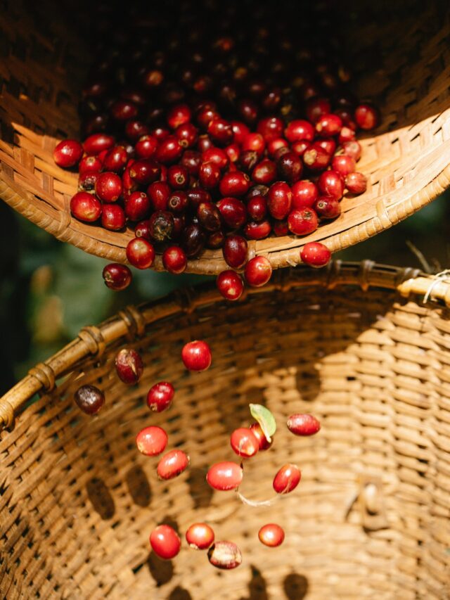 Goji Berry : खाने से ब्यूटी को होते है ये 5 फायदे